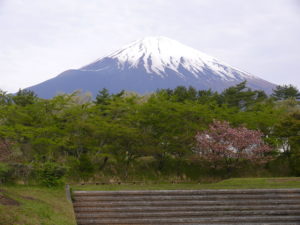 遅くなりました！2018年度ｵﾘｴﾝﾃｰｼｮﾝ研修お疲れ様でした♪